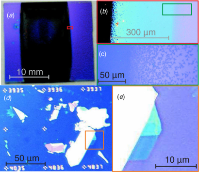 A direct comparison of CVD-grown and exfoliated MoS2 using optical ...