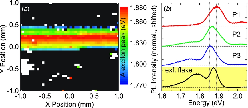A direct comparison of CVD-grown and exfoliated MoS2 using optical ...