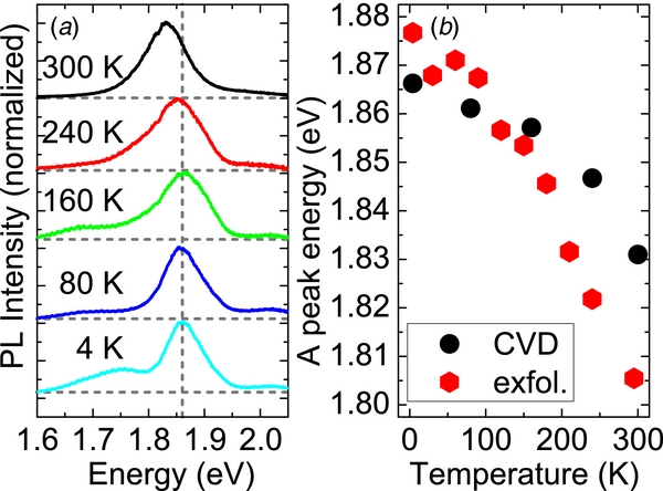 A direct comparison of CVD-grown and exfoliated MoS2 using optical ...