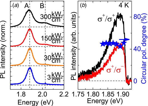 A direct comparison of CVD-grown and exfoliated MoS2 using optical ...