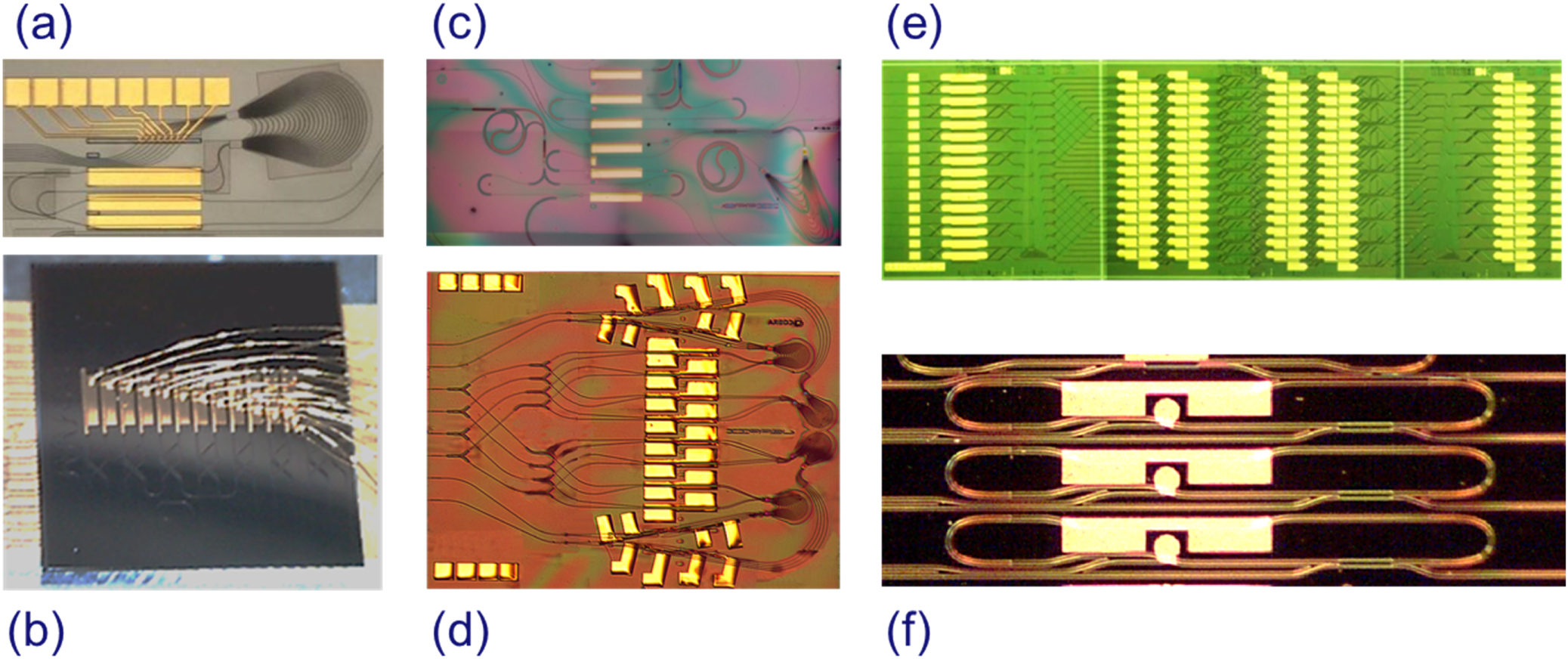 An introduction to InP-based generic integration technology - IOPscience