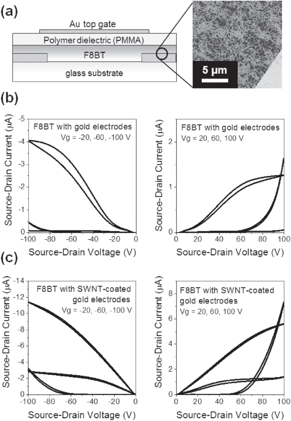 Single-walled carbon nanotube networks for flexible and printed ...