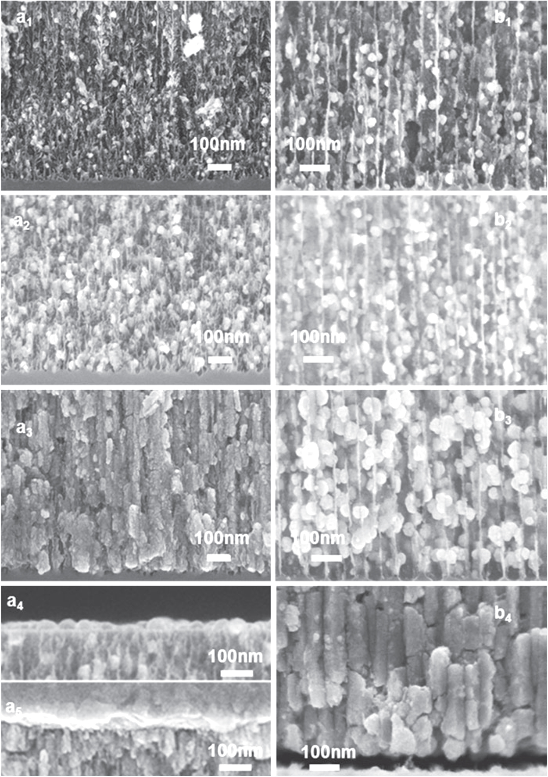 Filling of porous silicon with magnetic materials - IOPscience