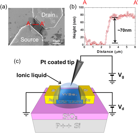 Transport-map analysis of ionic liquid-gated ambipolar WSe2 field ...