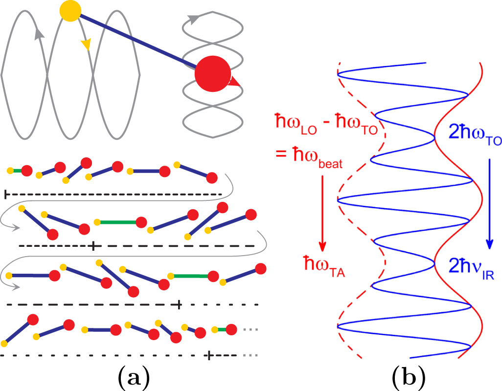 Non-equilibrium dynamics, materials and structures for hot carrier ...