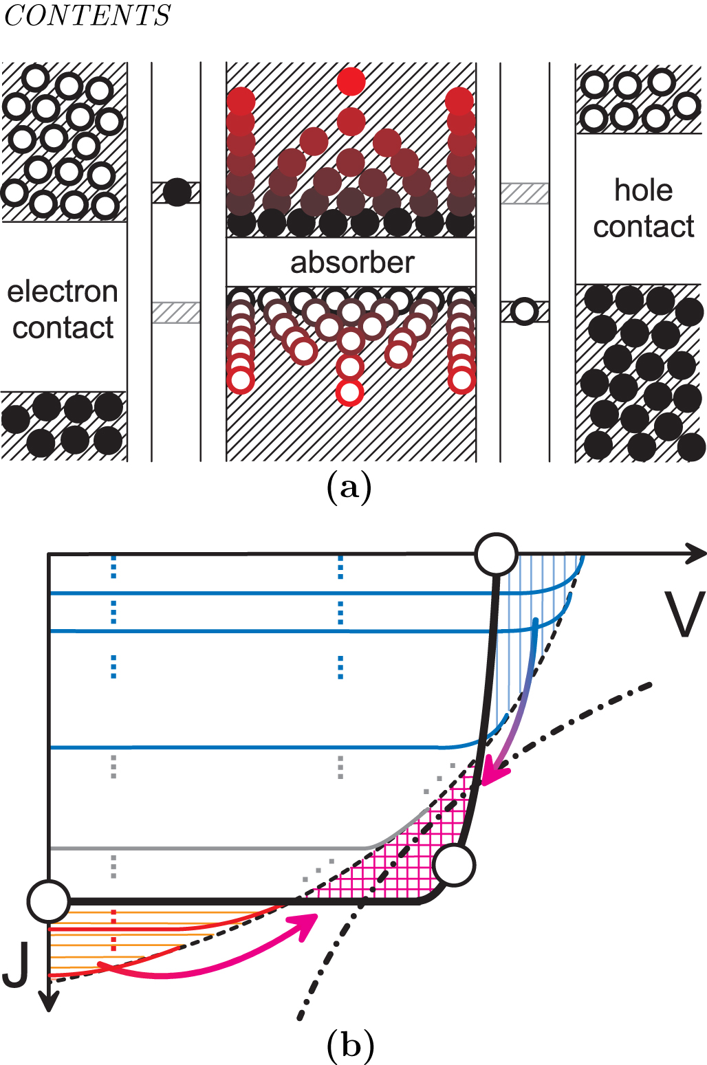 Non-equilibrium dynamics, materials and structures for hot carrier ...