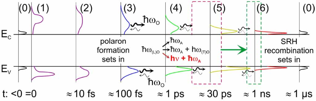 Non-equilibrium dynamics, materials and structures for hot carrier ...