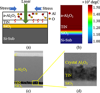 An effective solution to optimize the saddle-shape warpage in 3D IC ...