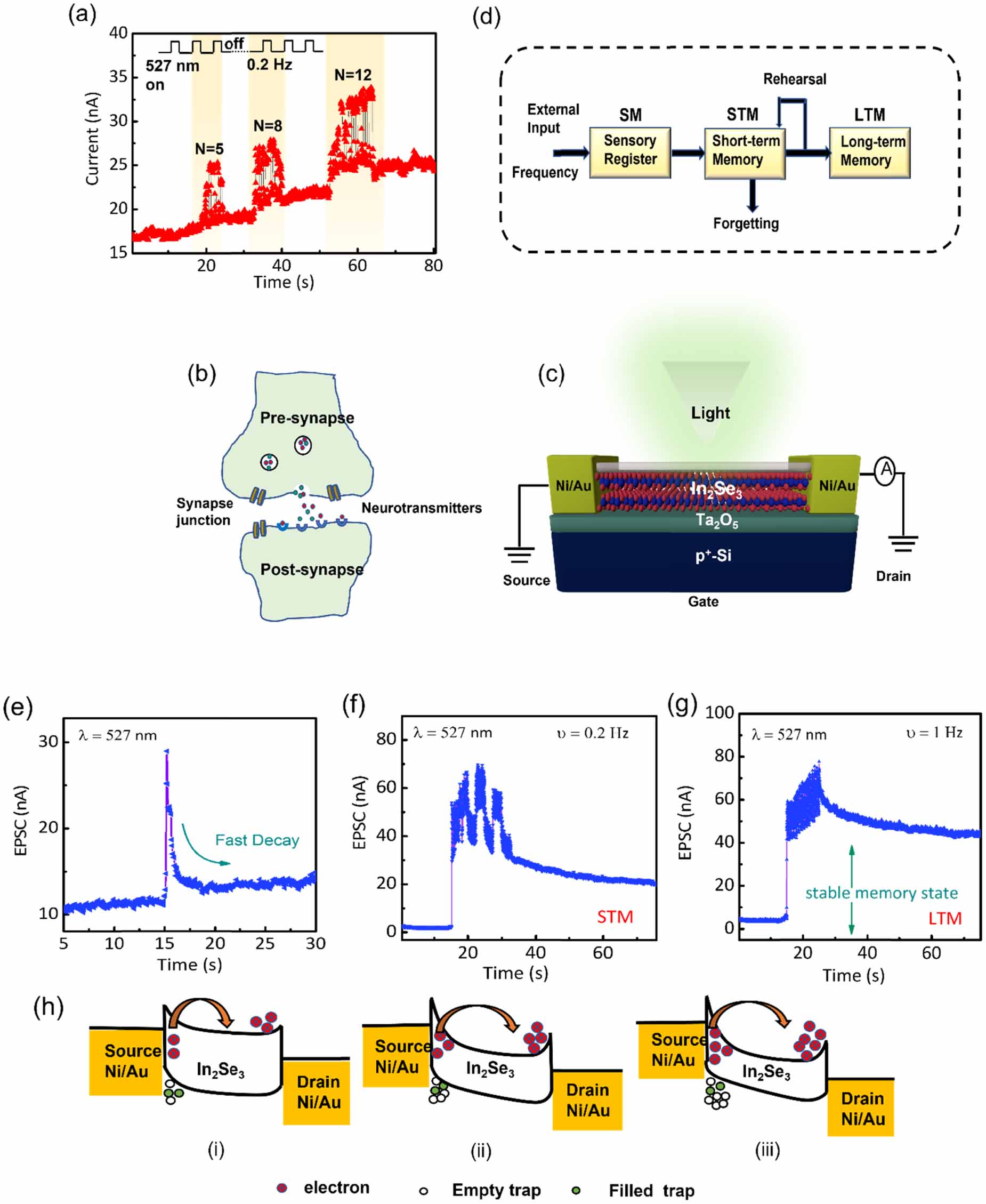 Optically excited artificial synapse based on α-In2Se3 FETs on Ta2O5 ...