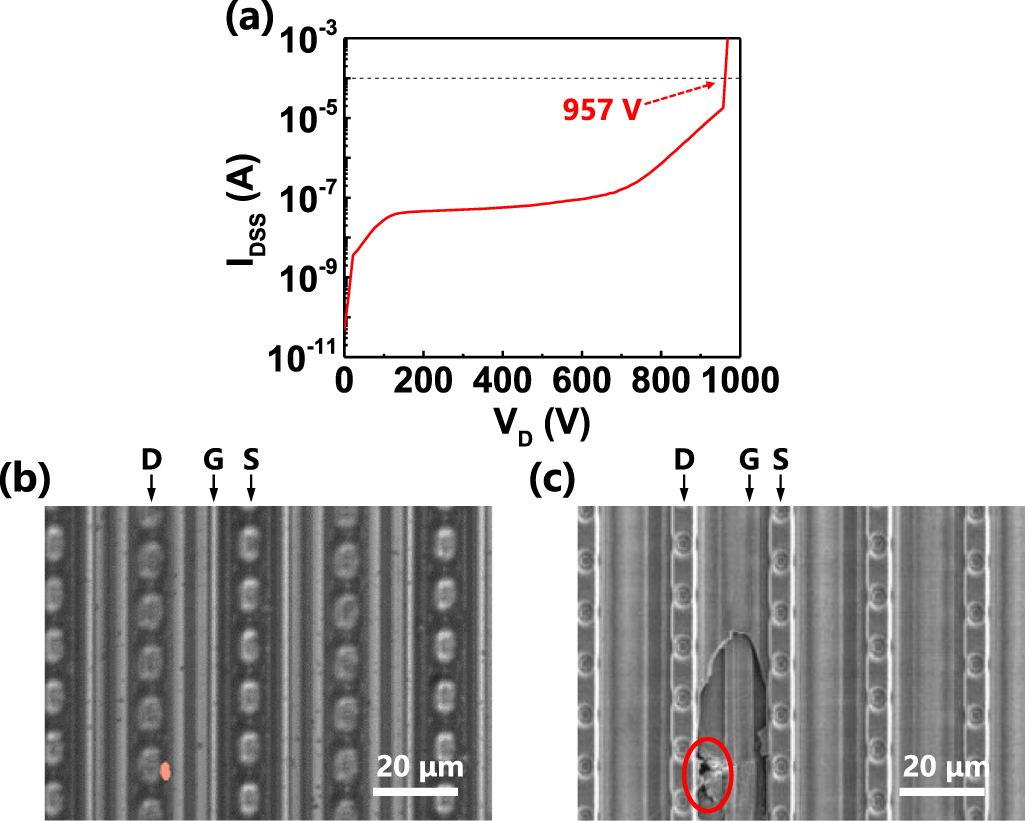 Reliability of enhancement-mode p-GaN gate GaN HEMT with multiple field ...