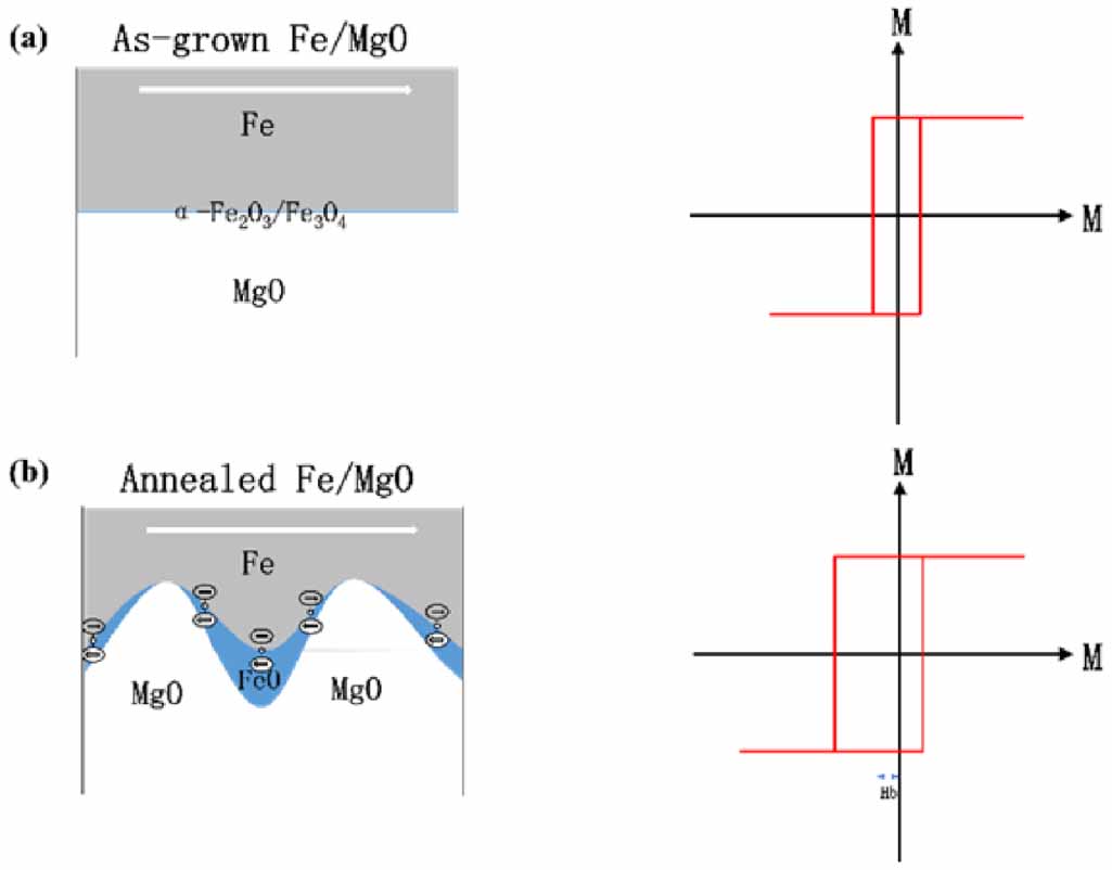 Review on magnetic/nonmagnetic heterojunction interface
