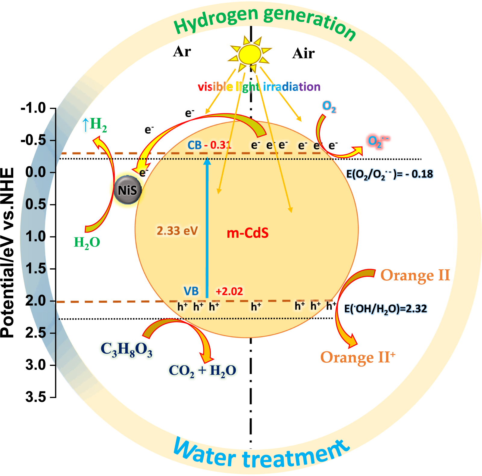 The superiority of the photocatalytic and antibacterial performance of ...