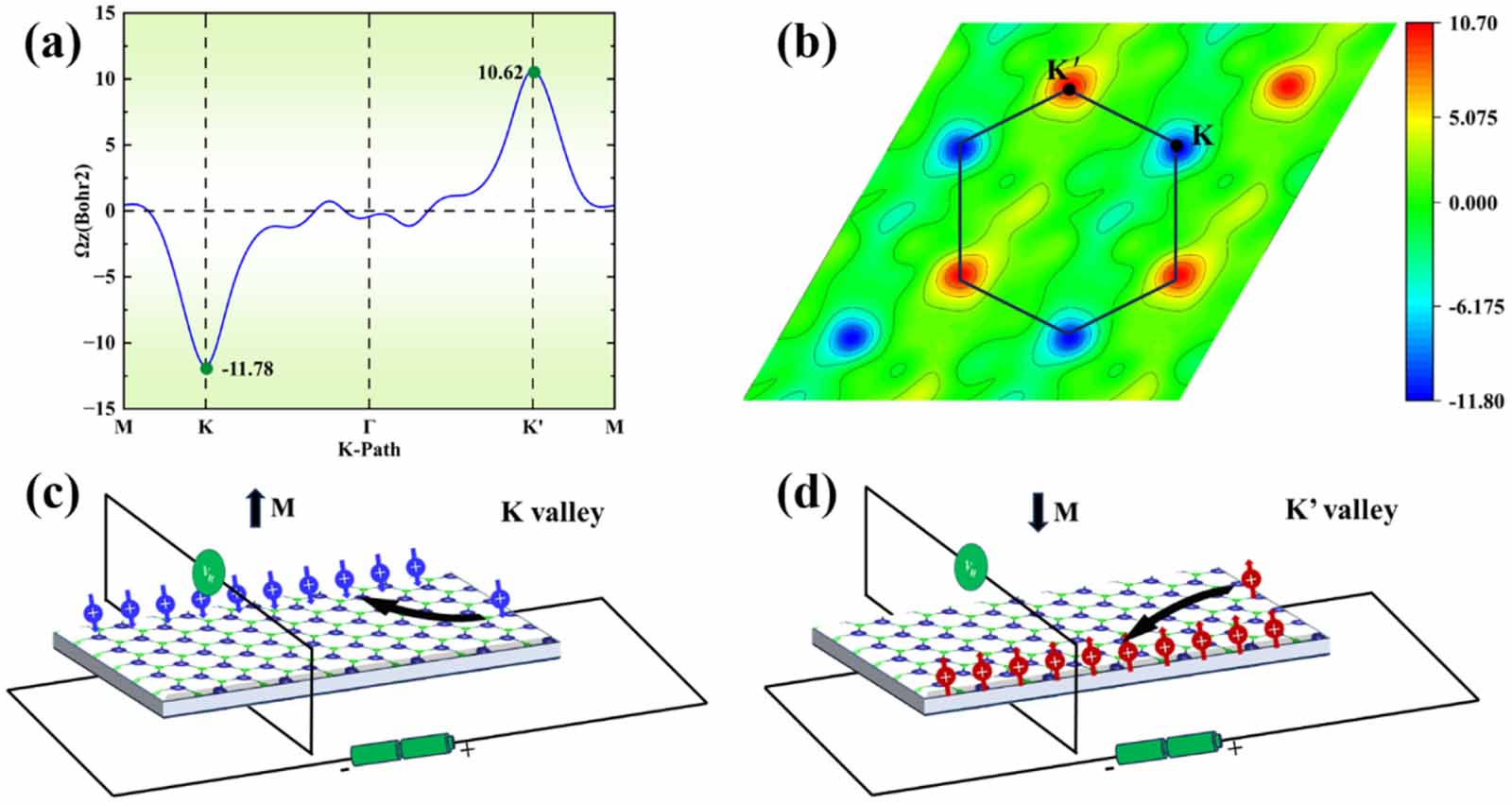 Spontaneous and tunable valley polarization in two-dimensional single ...
