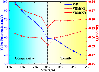 Spontaneous and tunable valley polarization in two-dimensional single ...