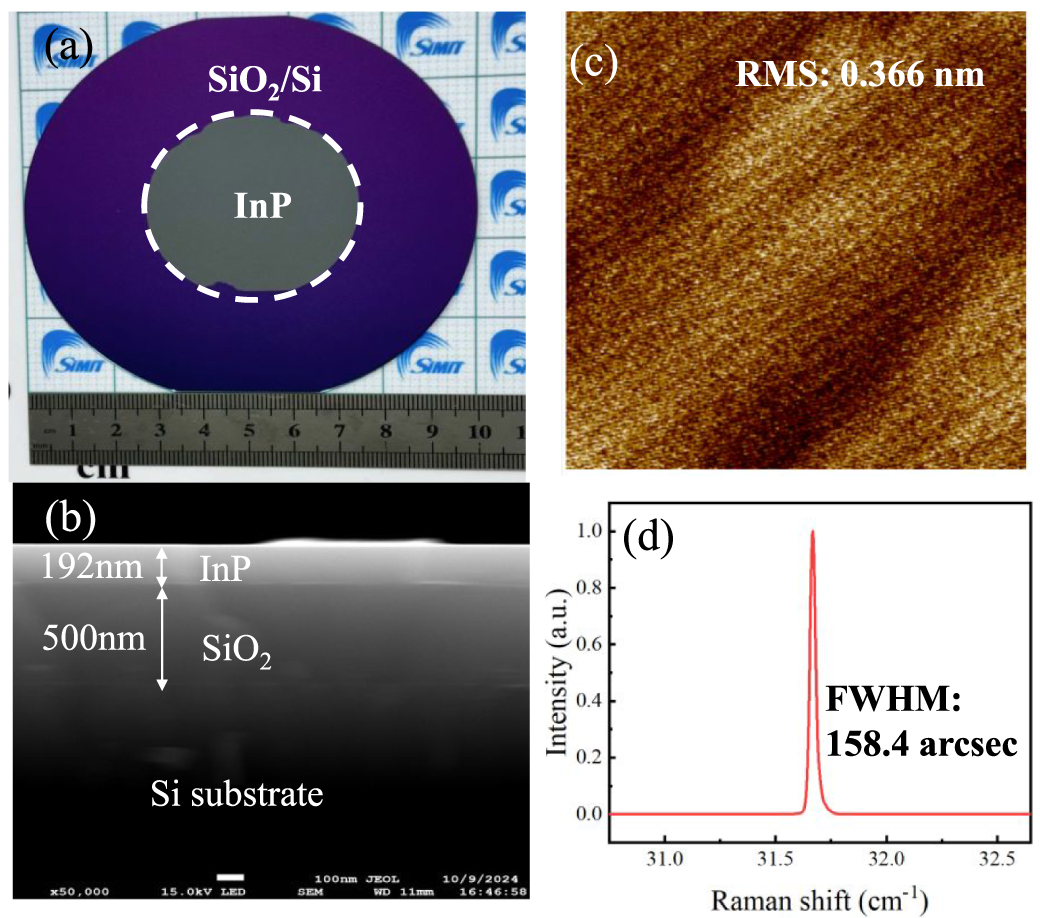 The effect of Si ion implantation on the electrical properties of InP ...