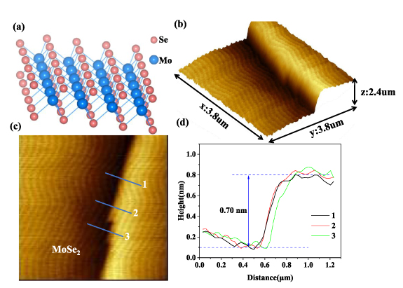 Band alignment of heterojunctions formed by different polar GaN and two ...