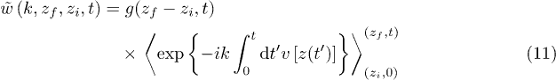 Equation (11)