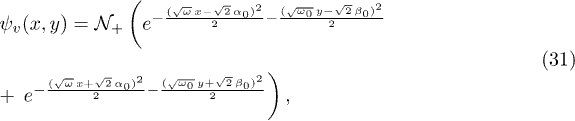 Equation (31)