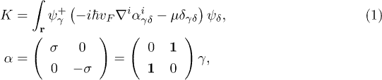 Equation (1)
