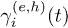 $\gamma_{i}^{(e,h)}(t)$
