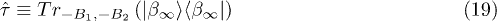 Equation (19)