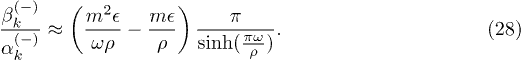 Equation (28)