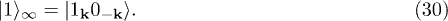 Equation (30)