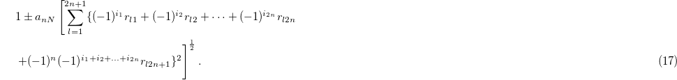 Equation (17)
