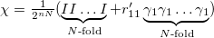 $\chi=\frac{1}{2^{nN}}(\underbrace{II\ldots I}_{N{\text{-fold}}}+r'_{11}\underbrace{\gamma_{1}\gamma_{1}\ldots\gamma_{1}}_{N{\text{-fold}}})$