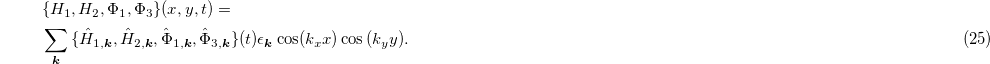 Equation (25)