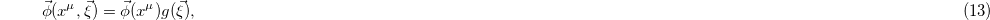 Equation (13)