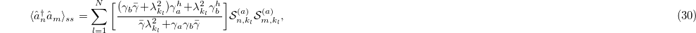 Equation (30)