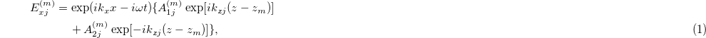 Equation (1)