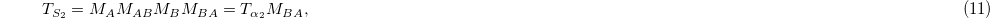 Equation (11)