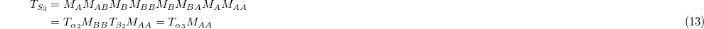 Equation (13)