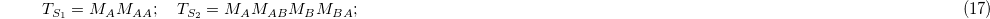Equation (17)
