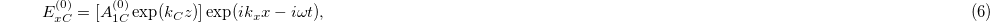 Equation (6)