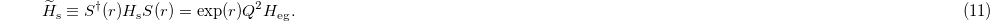 Equation (11)
