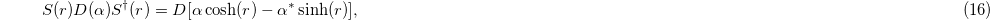 Equation (16)