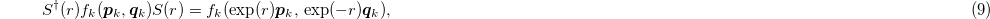 Equation (9)