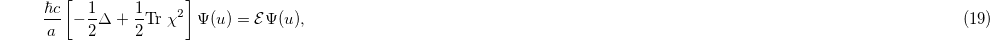 Equation (19)