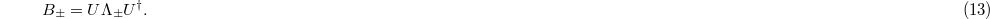 Equation (13)