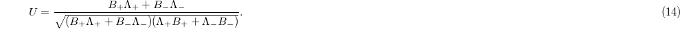 Equation (14)