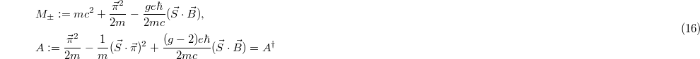 Equation (16)