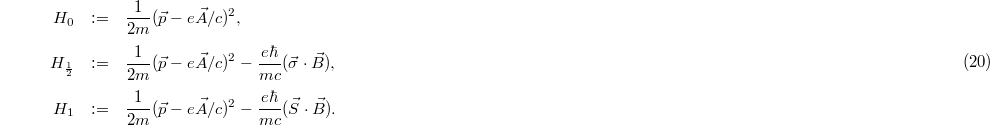 Equation (20)