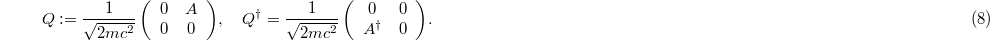 Equation (8)