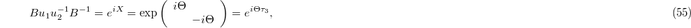Equation (55)