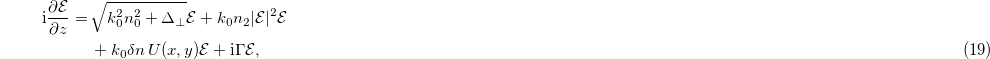 Equation (19)
