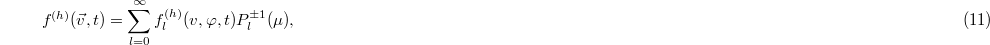 Equation (11)