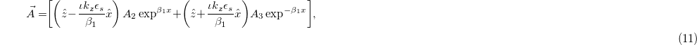 Equation (11)